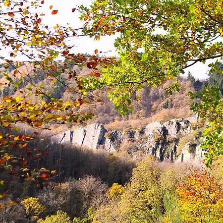 Guest house Les Alisiers